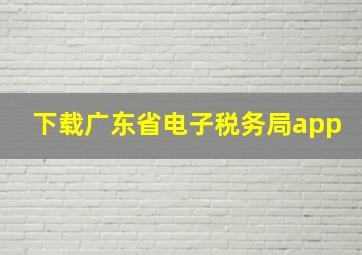 下载广东省电子税务局app