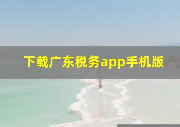 下载广东税务app手机版