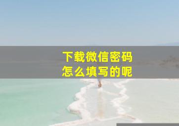 下载微信密码怎么填写的呢