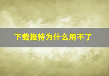 下载推特为什么用不了