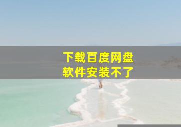 下载百度网盘软件安装不了