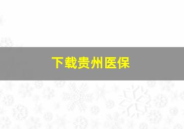 下载贵州医保