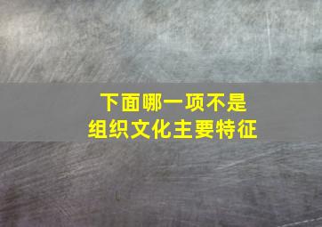 下面哪一项不是组织文化主要特征