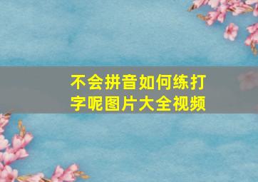 不会拼音如何练打字呢图片大全视频