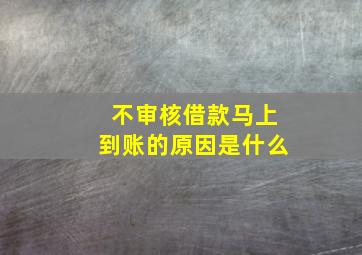 不审核借款马上到账的原因是什么