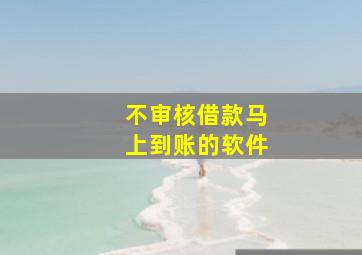 不审核借款马上到账的软件