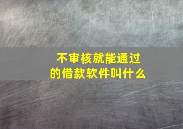 不审核就能通过的借款软件叫什么