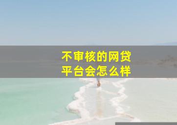 不审核的网贷平台会怎么样