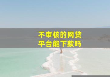 不审核的网贷平台能下款吗