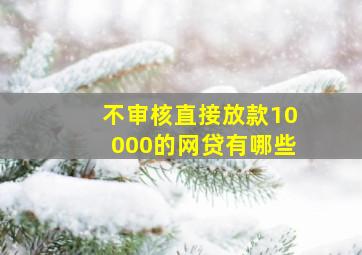 不审核直接放款10000的网贷有哪些