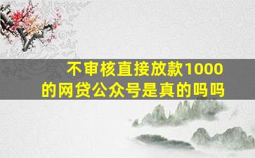 不审核直接放款1000的网贷公众号是真的吗吗