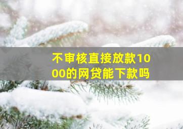 不审核直接放款1000的网贷能下款吗