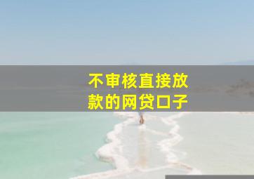 不审核直接放款的网贷口子