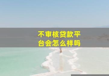 不审核贷款平台会怎么样吗