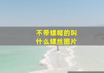 不带螺帽的叫什么螺丝图片