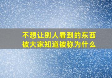 不想让别人看到的东西被大家知道被称为什么