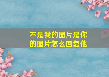 不是我的图片是你的图片怎么回复他