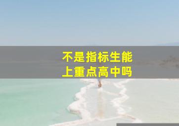 不是指标生能上重点高中吗