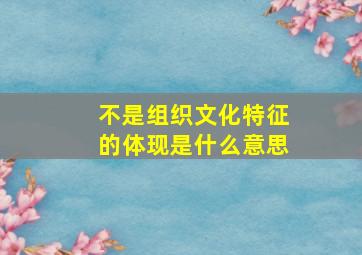 不是组织文化特征的体现是什么意思