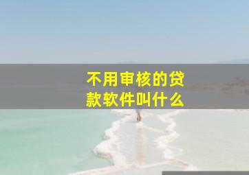 不用审核的贷款软件叫什么