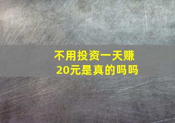 不用投资一天赚20元是真的吗吗