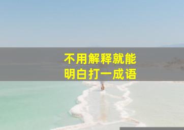 不用解释就能明白打一成语