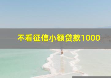 不看征信小额贷款1000