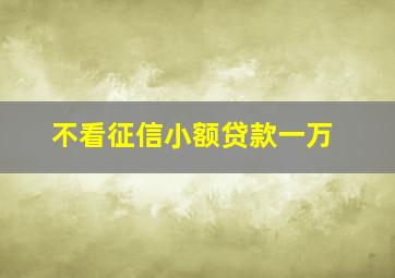 不看征信小额贷款一万