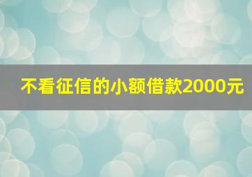 不看征信的小额借款2000元