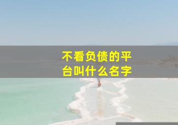 不看负债的平台叫什么名字