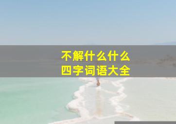 不解什么什么四字词语大全