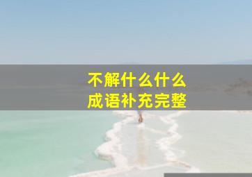 不解什么什么成语补充完整