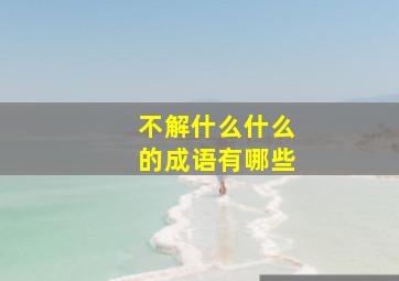 不解什么什么的成语有哪些