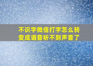 不识字微信打字怎么转变成语音听不到声音了