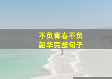 不负青春不负韶华完整句子