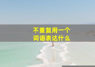 不重复用一个词语表达什么