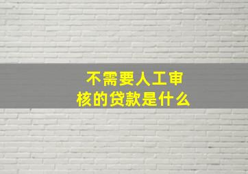 不需要人工审核的贷款是什么