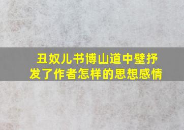 丑奴儿书博山道中壁抒发了作者怎样的思想感情