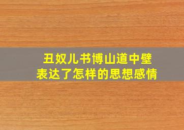 丑奴儿书博山道中壁表达了怎样的思想感情