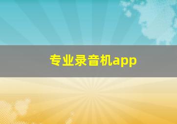 专业录音机app