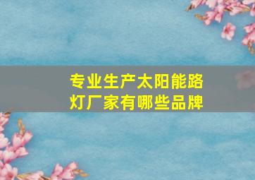 专业生产太阳能路灯厂家有哪些品牌