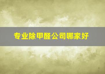 专业除甲醛公司哪家好