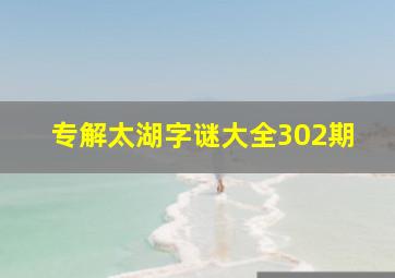 专解太湖字谜大全302期