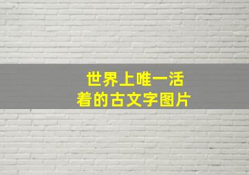 世界上唯一活着的古文字图片