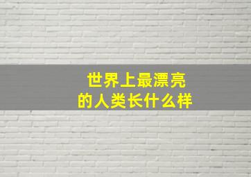 世界上最漂亮的人类长什么样