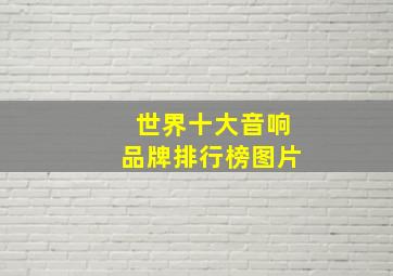 世界十大音响品牌排行榜图片