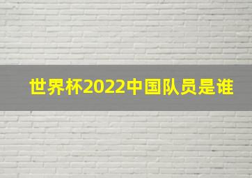 世界杯2022中国队员是谁