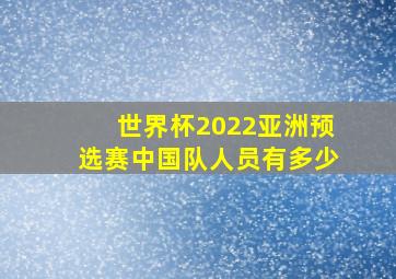 世界杯2022亚洲预选赛中国队人员有多少