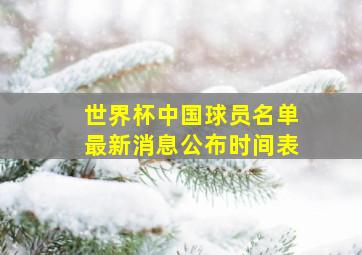 世界杯中国球员名单最新消息公布时间表