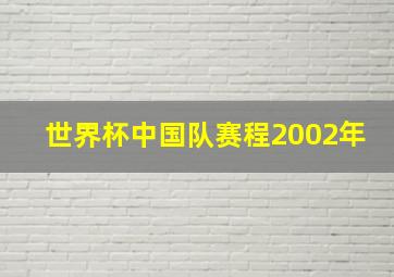 世界杯中国队赛程2002年